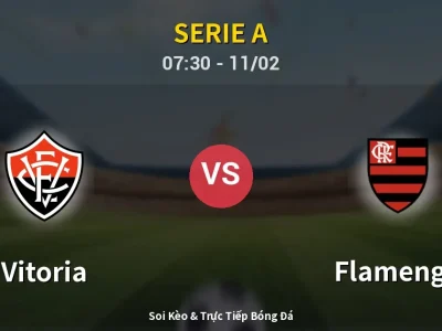 Kết Quả: Vitoria 1-2 Flamengo – Highlight & Bàn Thắng | Serie A