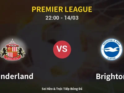 Soi Kèo Sunderland vs Brighton – 22:00 14/03 | Nhận Định, Dự Đoán Tỷ Số