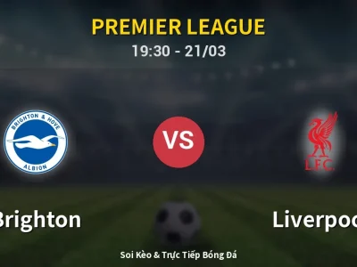 🔴 Trực Tiếp: Brighton 2-1 Liverpool – Link Xem Premier League (Full HD)