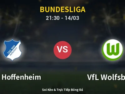 Soi Kèo 1899 Hoffenheim vs VfL Wolfsburg – 21:30 14/03 | Nhận Định, Dự Đoán Tỷ Số