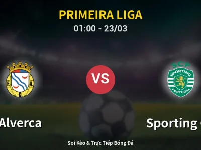Kết Quả: Alverca 1-4 Sporting CP – Highlight & Bàn Thắng | Primeira Liga