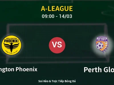 🔴 Trực Tiếp: Wellington Phoenix 0-0 Perth Glory – Link Xem A-League (Full HD)