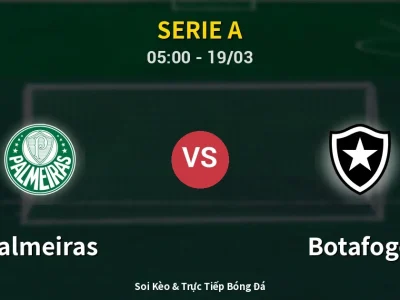 Kết Quả: Palmeiras 2-1 Botafogo – Highlight & Bàn Thắng | Serie A
