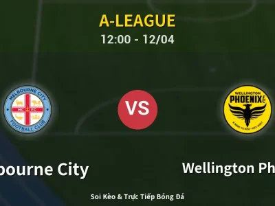 Kết Quả: Melbourne City 2-0 Wellington Phoenix – Highlight & Bàn Thắng | A-League