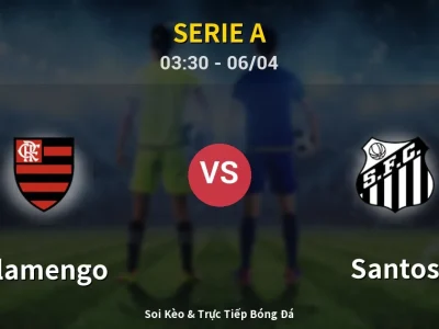 Kết Quả: Flamengo 3-1 Santos – Highlight & Bàn Thắng | Serie A